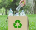 Учёные развеяли мифы о вреде пластика и экологичности стекла и бумаги