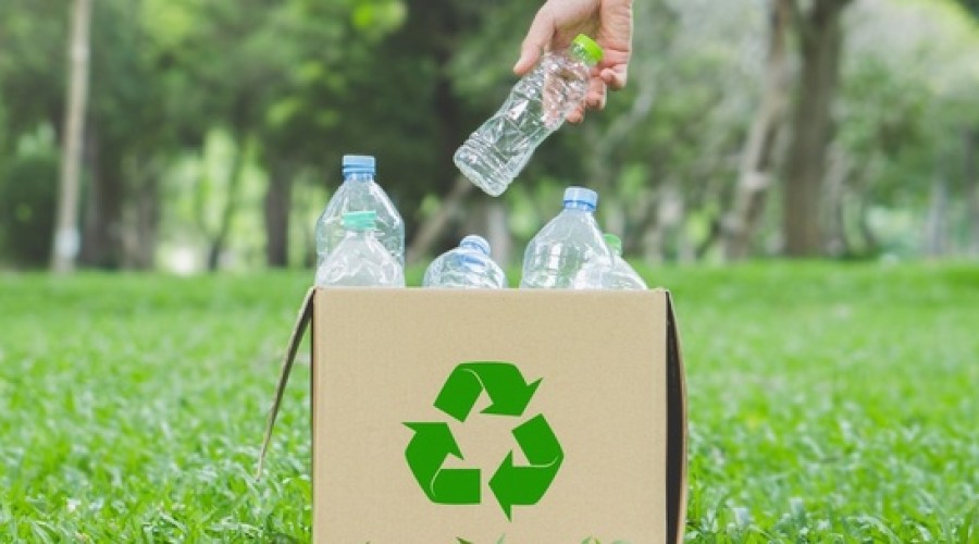 Учёные развеяли мифы о вреде пластика и экологичности стекла и бумаги