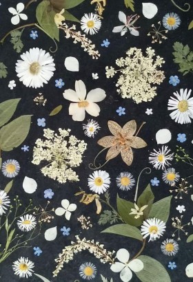 «Цветочная импровизация» 