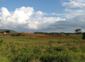  Границы своих участков туляки могут проверить онлайн