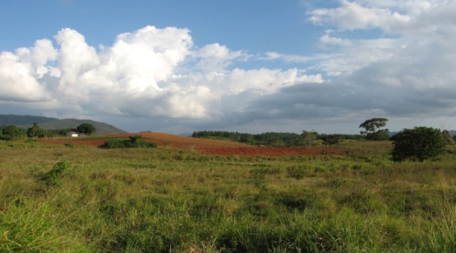  Границы своих участков туляки могут проверить онлайн