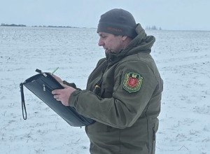 В Тульской области подсчитали всех диких животных