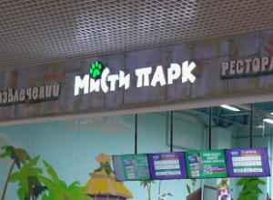 В тульском «Мисти парке» закрыли аттракцион из-за нарушений