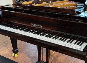 Рояль фирмы Kayserburg появился в «Дворянском собрании»