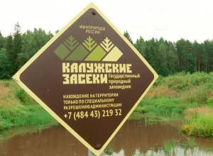  В заповедник «Калужские засеки» требуются волонтёры 