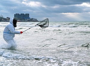 Что будет с летним сезоном в Анапе после разлива мазута